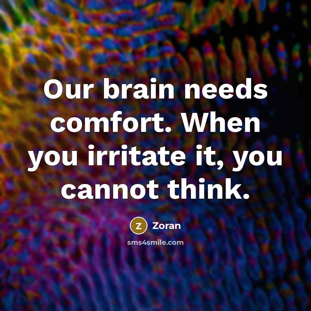 “Our brain needs comfort. When you irritate it, you cannot…” quote by Zoran