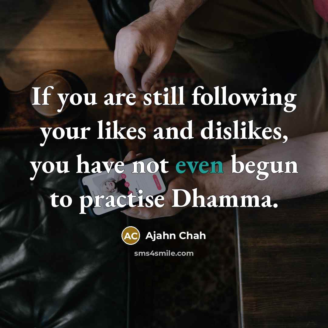 “If you are still following your likes and dislikes, you…” quote by Ajahn Chah