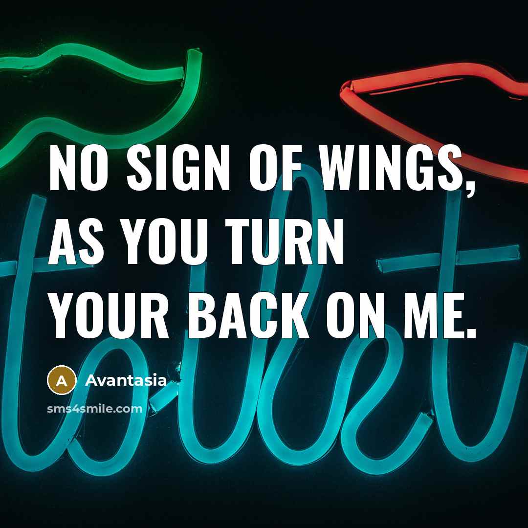 “No sign of wings, as you turn your back on…” quote by Avantasia