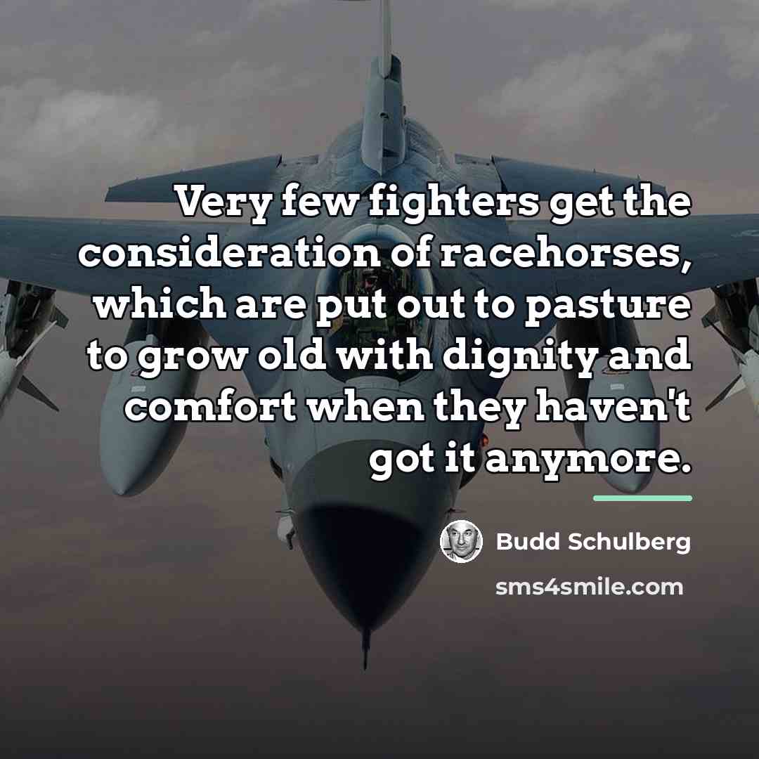 “Very few fighters get the consideration of racehorses, which are…” quote by Budd Schulberg