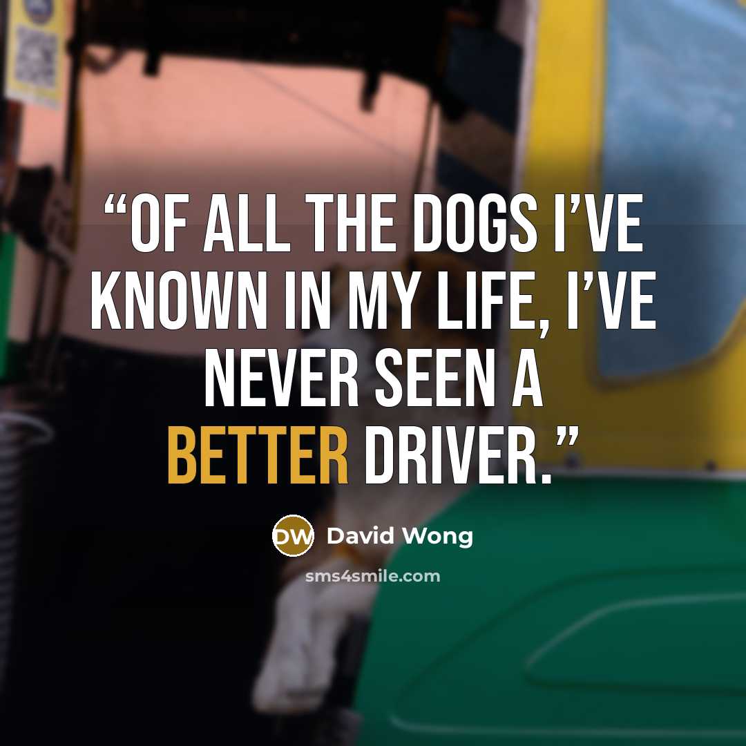 “Of all the dogs I’ve known in my life, I’ve never seen a better driver.” quote by David Wong