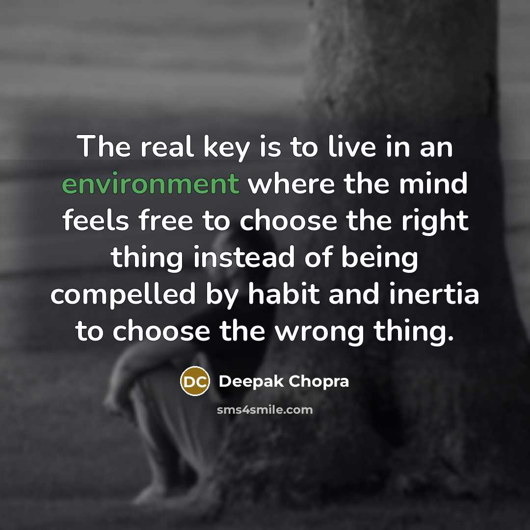 “The real key is to live in an environment where…” quote by Deepak Chopra