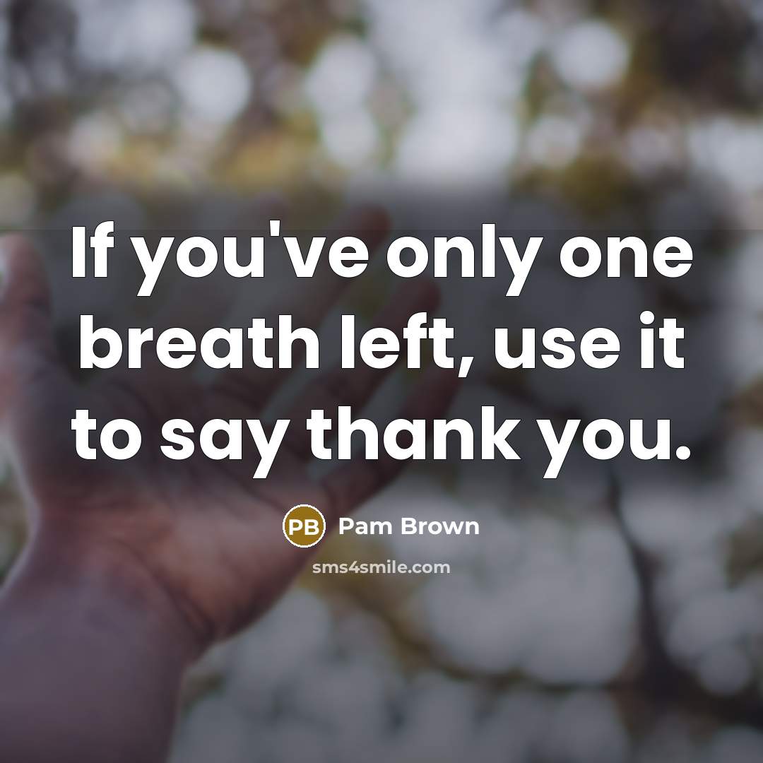 “If you've only one breath left, use it to say thank you.” quote by Pam Brown