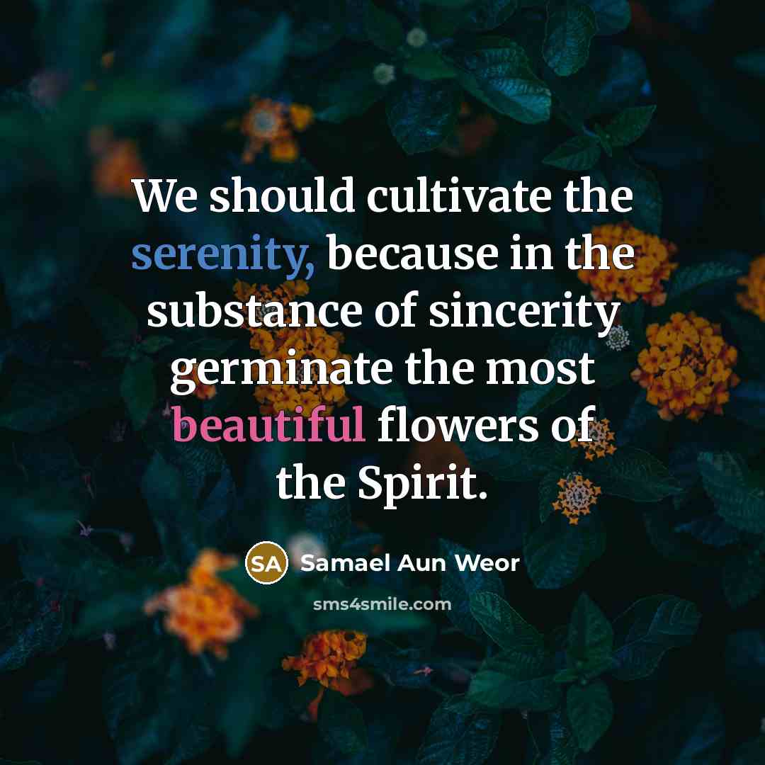 “We should cultivate the serenity, because in the substance of…” quote by Samael Aun Weor