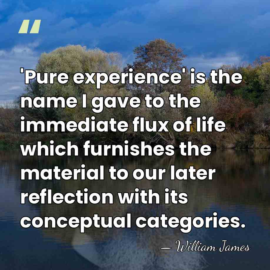 'Pure experience' is the name I gave to the immediate flux of&hellip; - William James