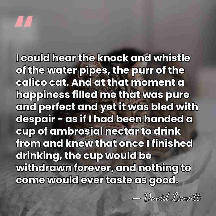 I could hear the knock and whistle of the water pipes, the&hellip; - David Leavitt