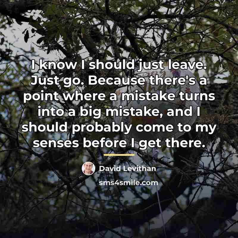 “I know I should just leave. Just go. Because there's…” quote by David Levithan