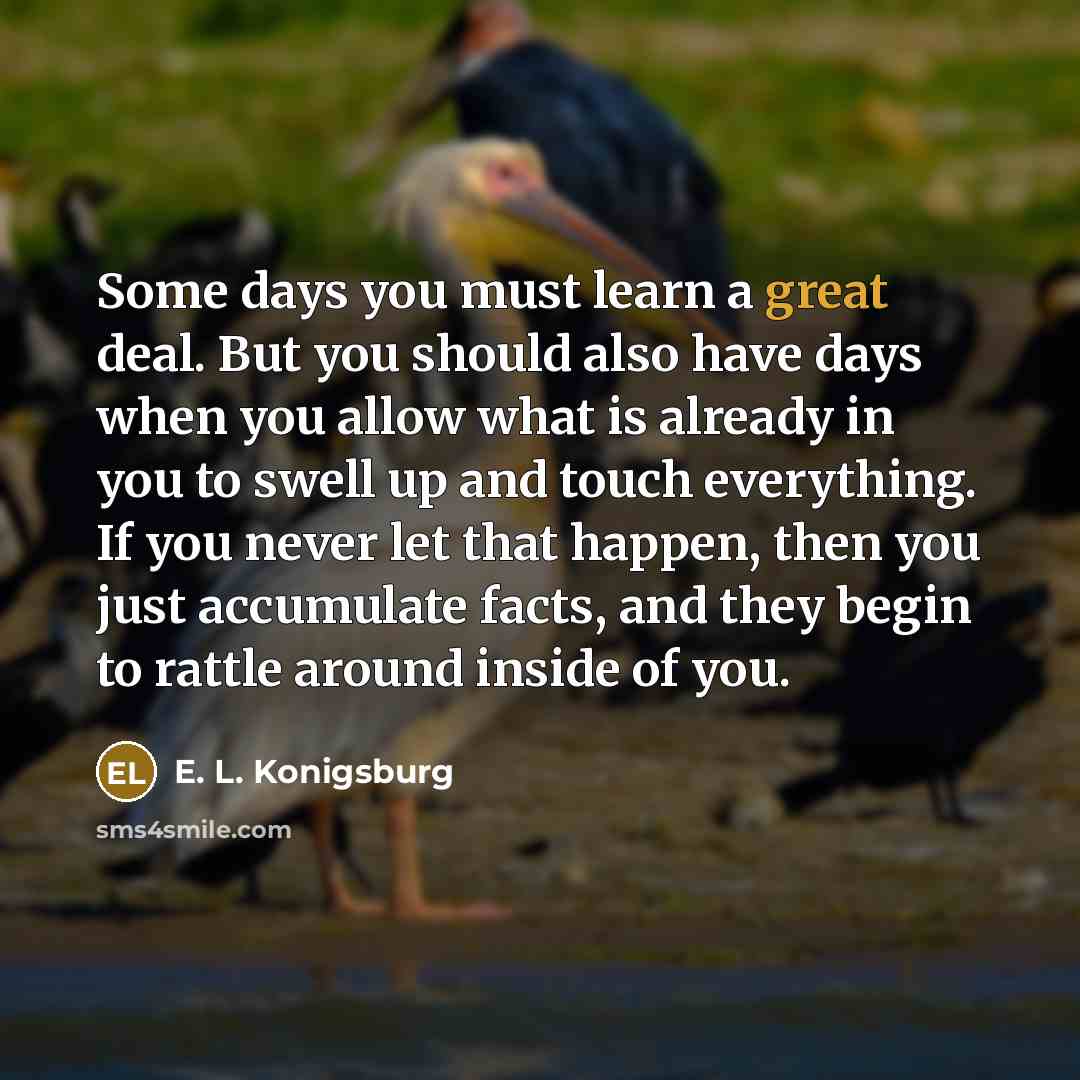 “Some days you must learn a great deal. But you…” quote by E. L. Konigsburg