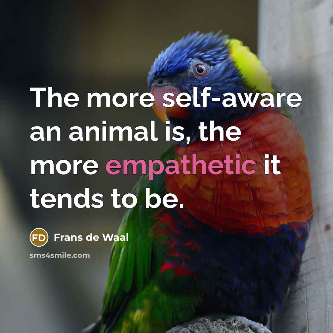 “The more self-aware an animal is, the more empathetic it…” quote by Frans de Waal