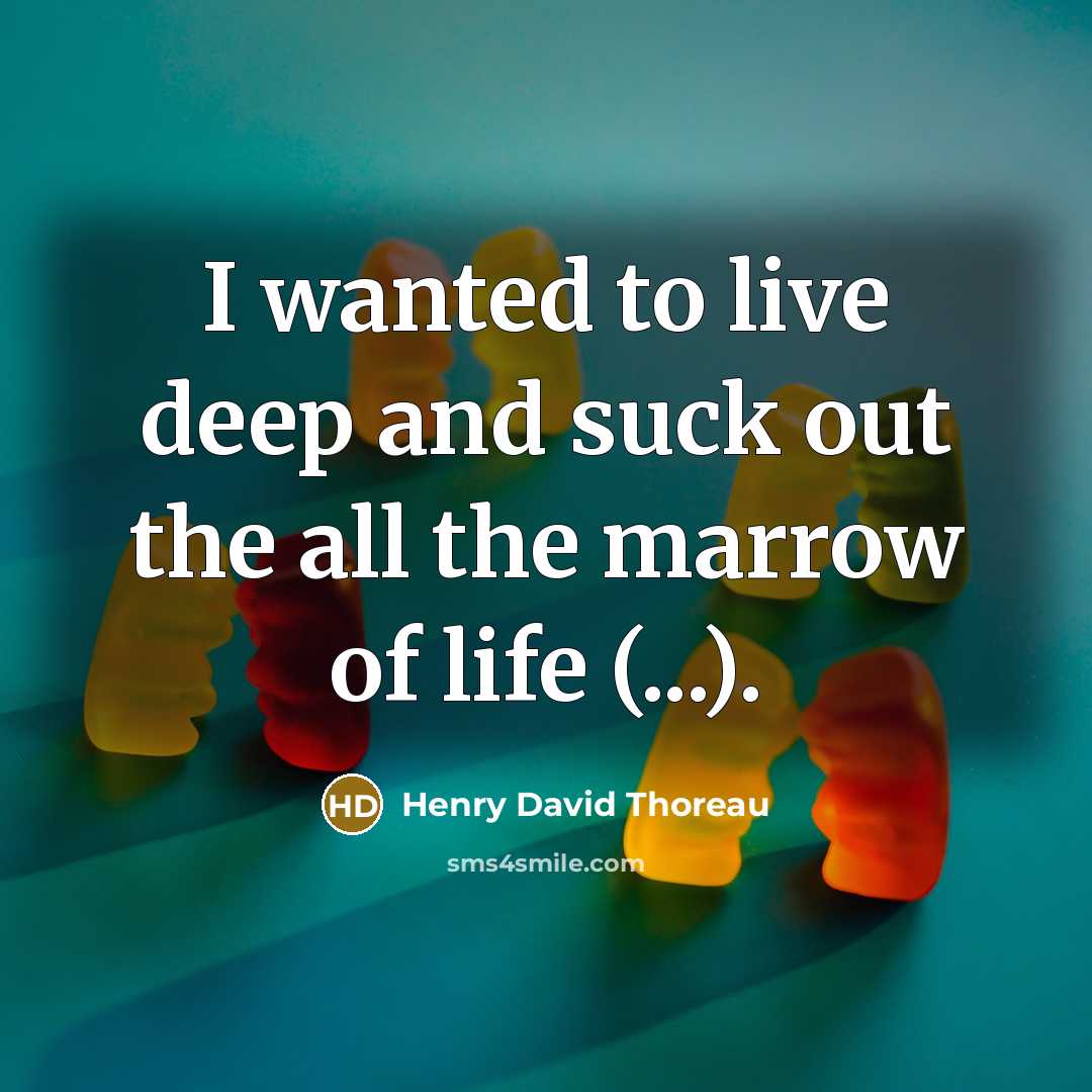 “I wanted to live deep and suck out the all…” quote by Henry David Thoreau
