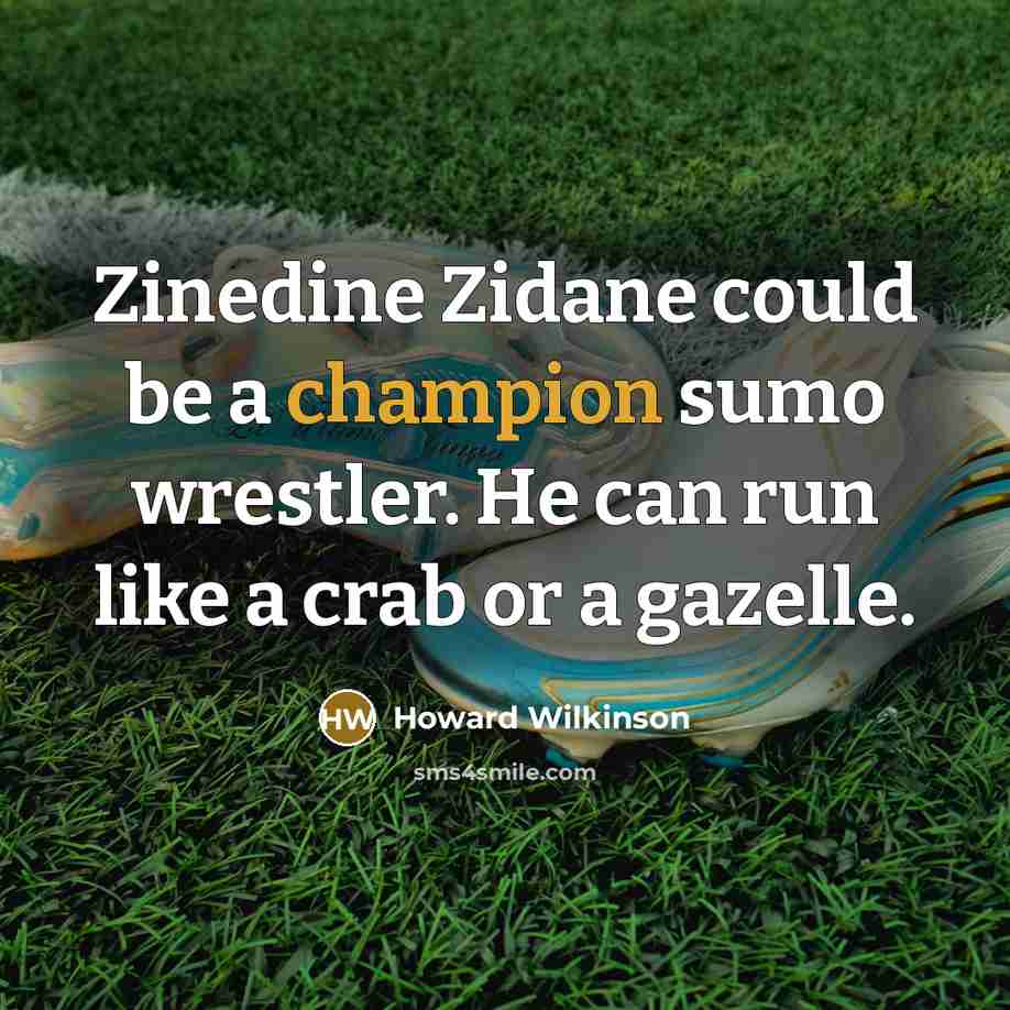 “Zinedine Zidane could be a champion sumo wrestler. He can…” quote by Howard Wilkinson