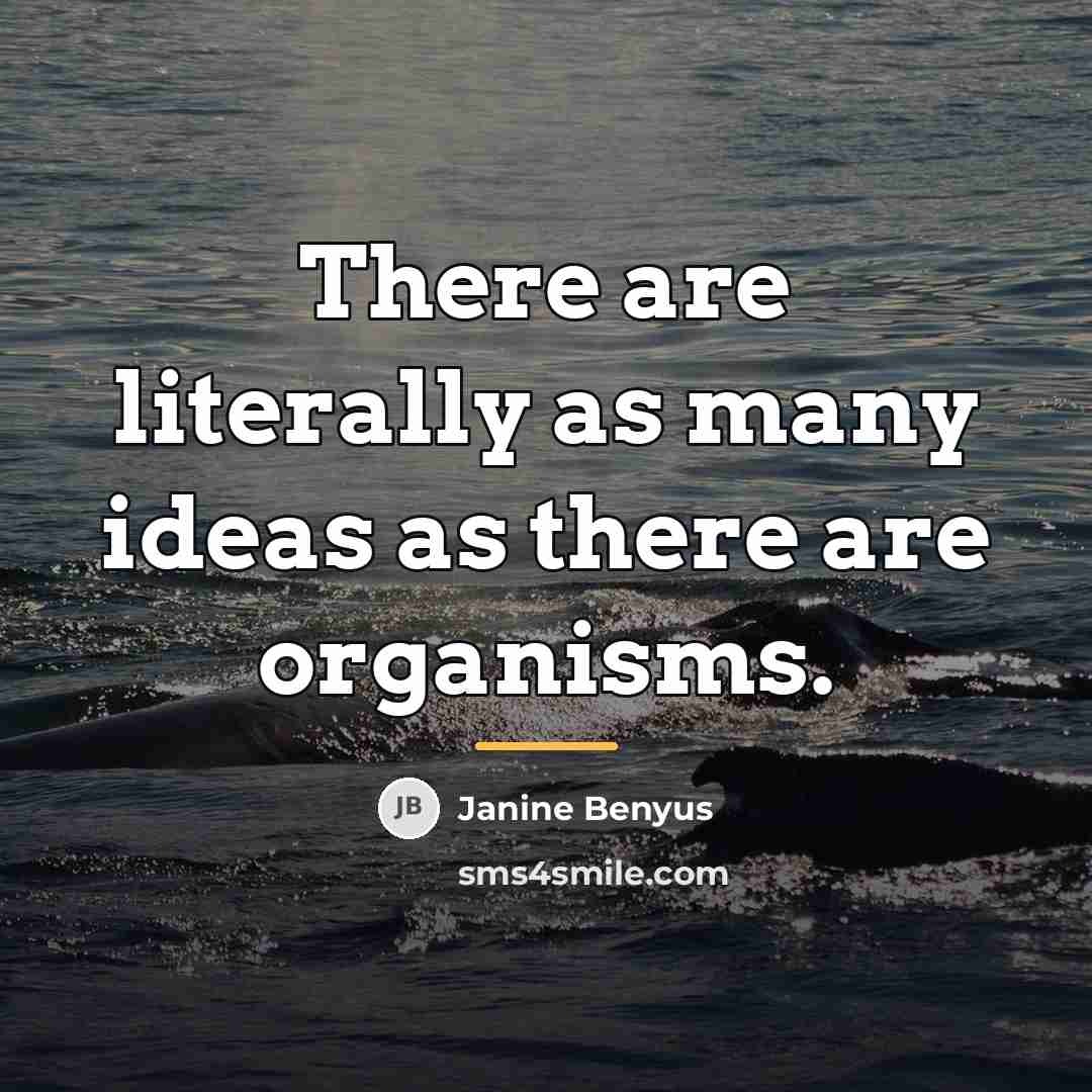 “There are literally as many ideas as there are organisms.…” quote by Janine Benyus