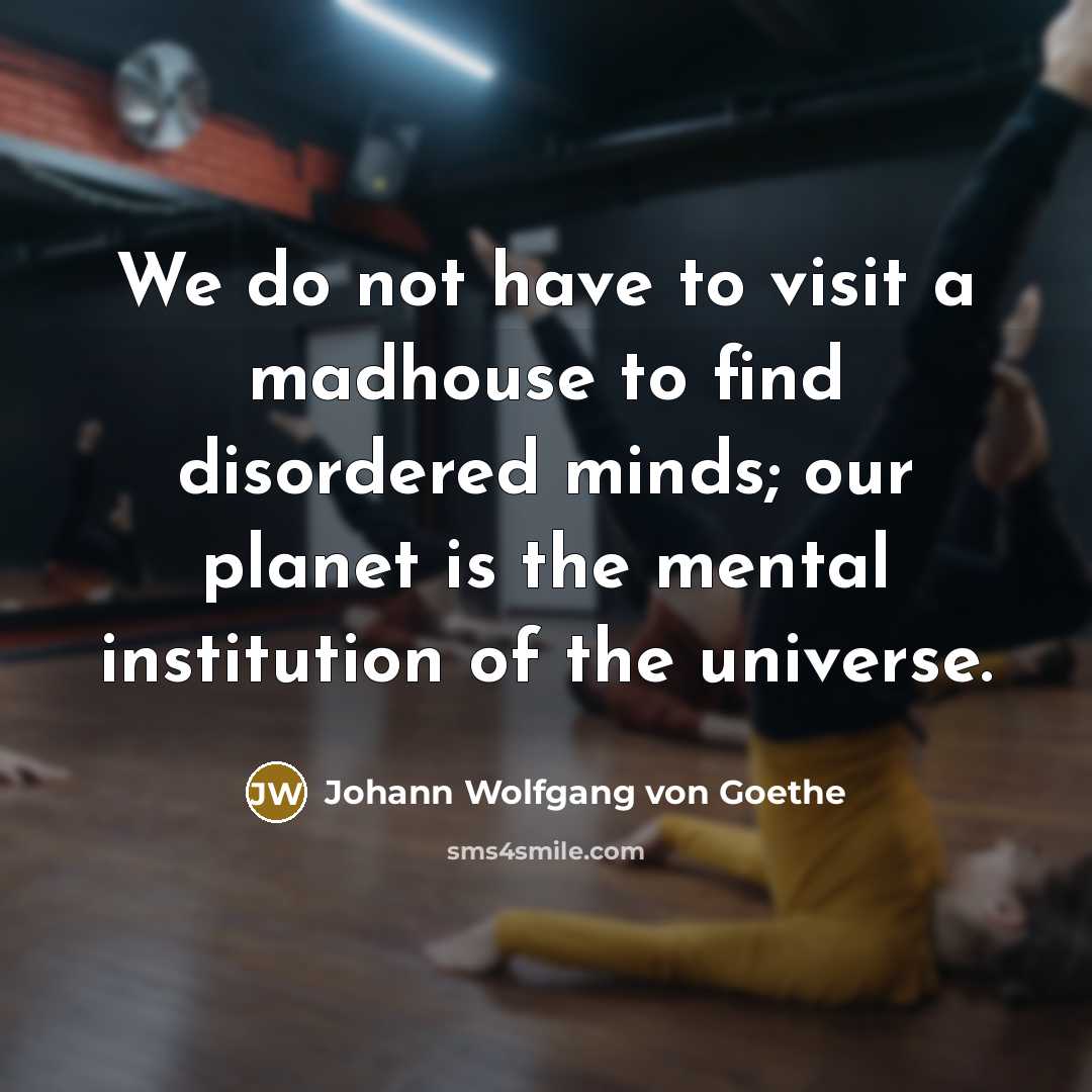 “We do not have to visit a madhouse to find…” quote by Johann Wolfgang von Goethe