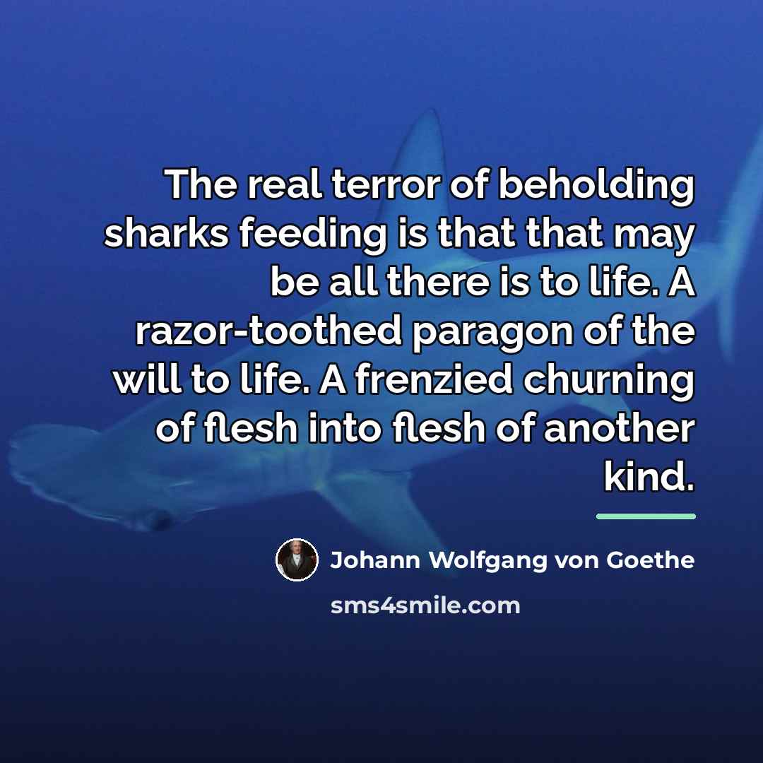 “The real terror of beholding sharks feeding is that that…” quote by Johann Wolfgang Von Goethe