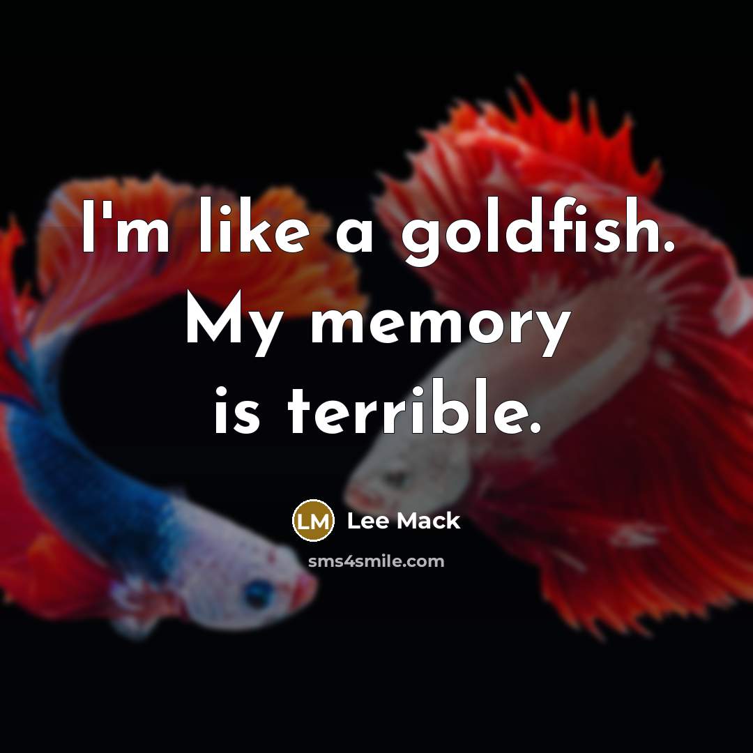“I'm like a goldfish. My memory is terrible.…” quote by Lee Mack