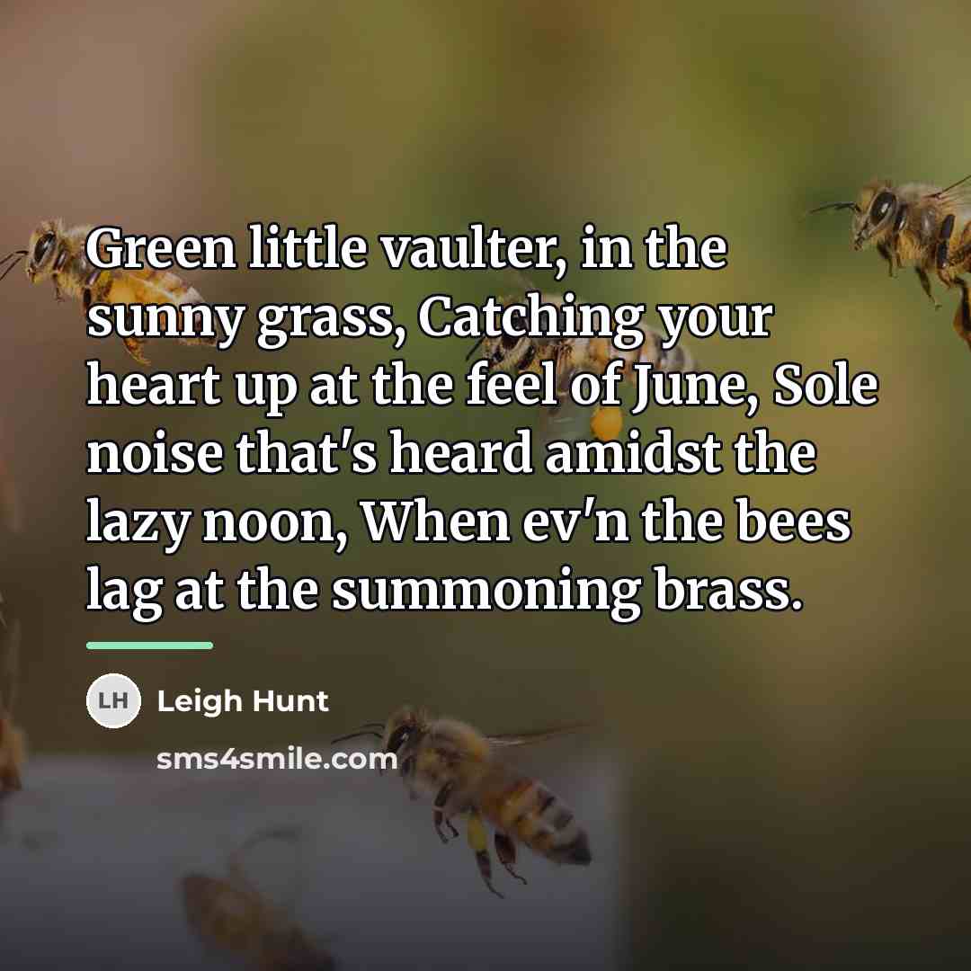 “Green little vaulter, in the sunny grass, Catching your heart…” quote by Leigh Hunt