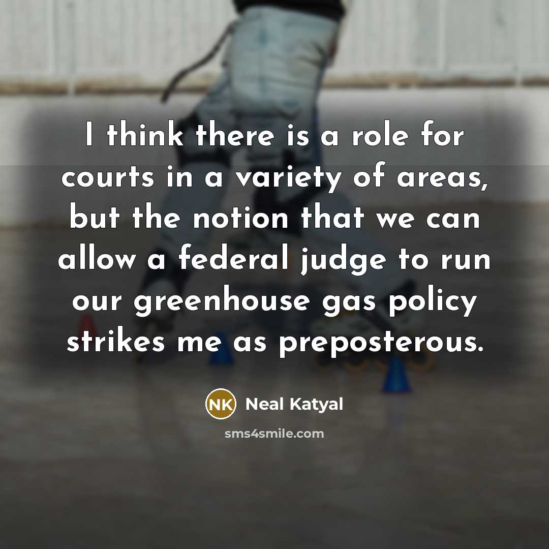 “I think there is a role for courts in a…” quote by Neal Katyal