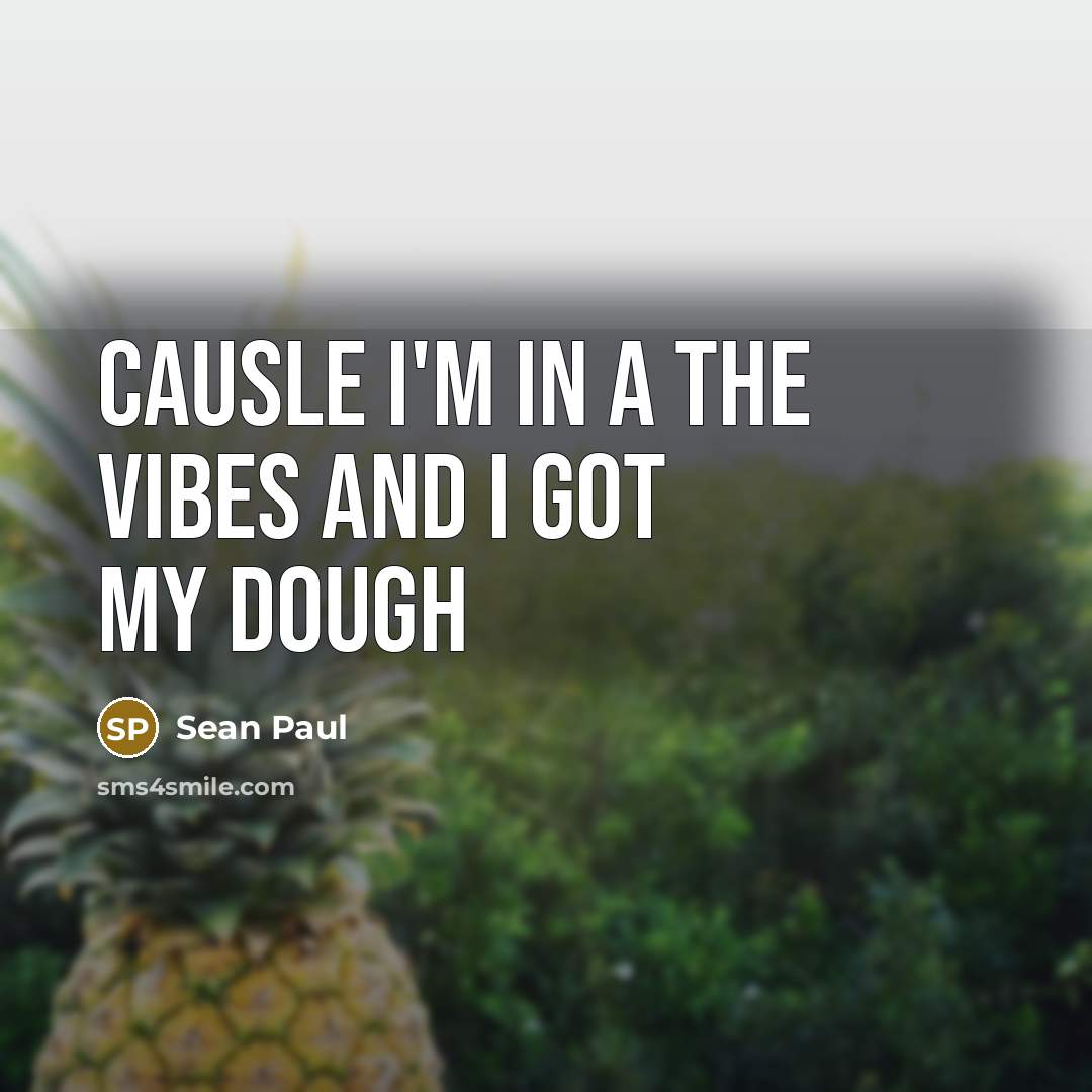 “Causle I'm in a the vibes and I got my…” quote by Sean Paul
