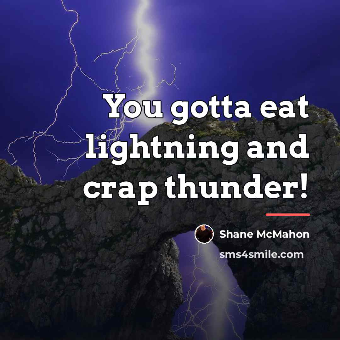 “You gotta eat lightning and crap thunder!…” quote by Shane McMahon