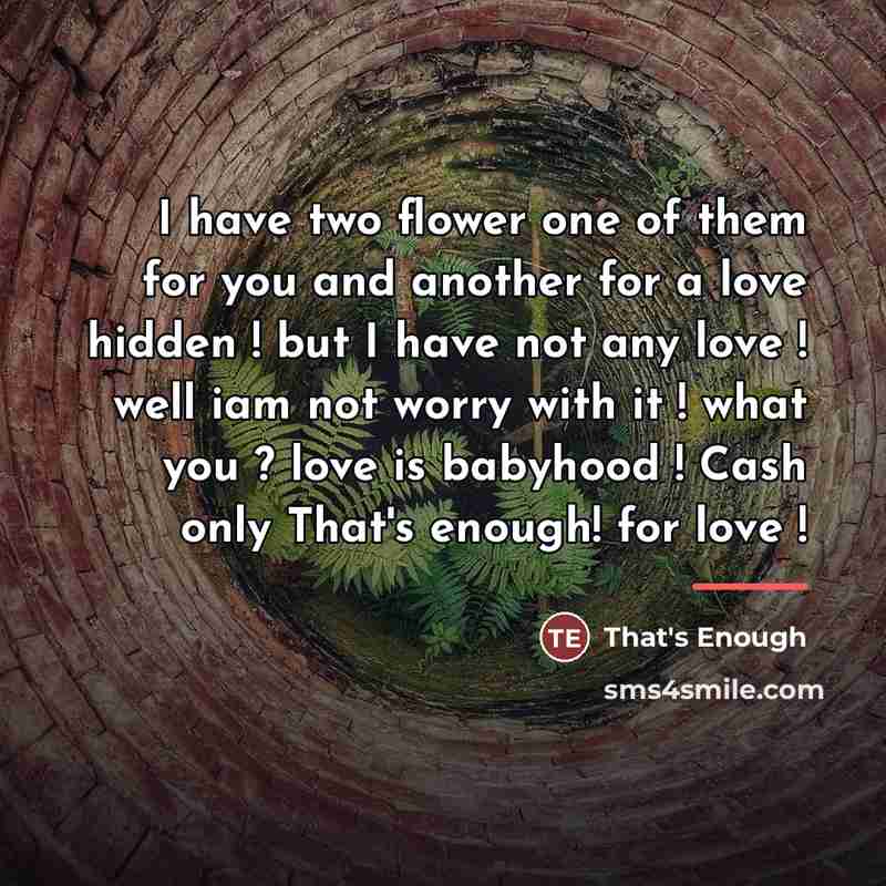 “I have two flower one of them for you and another for a love hidden ! but I have not any love ! well iam not worry with it ! what you ? love is babyhood ! Cash only That's enough! for love !” quote by That's Enough