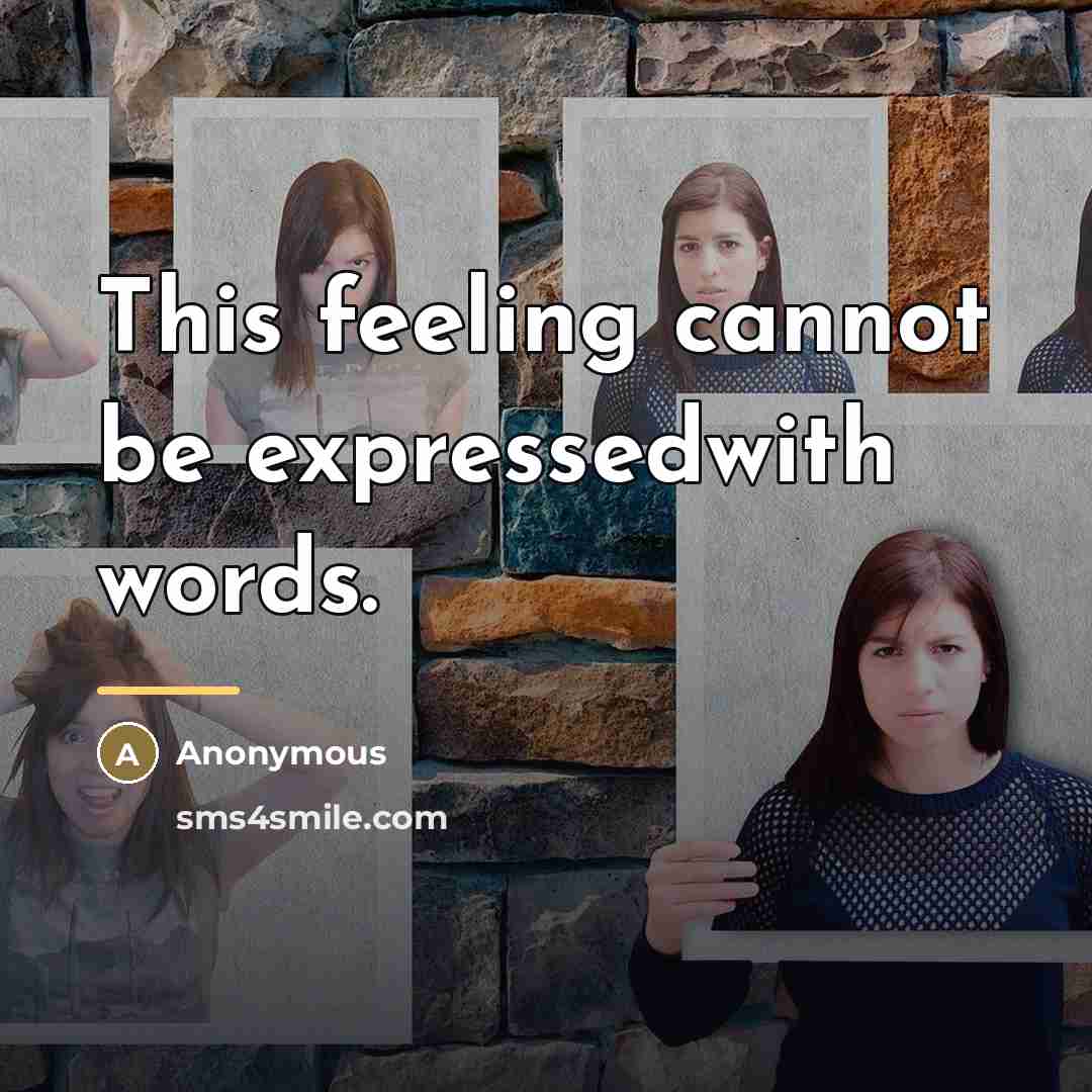 “This feeling cannot be expressedwith words.…” quote by Anonymous