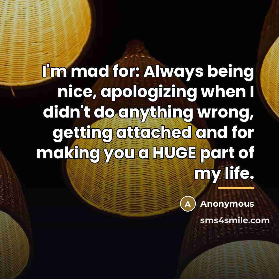 “I'm mad for: Always being nice, apologizing when I didn't…” quote by Anonymous