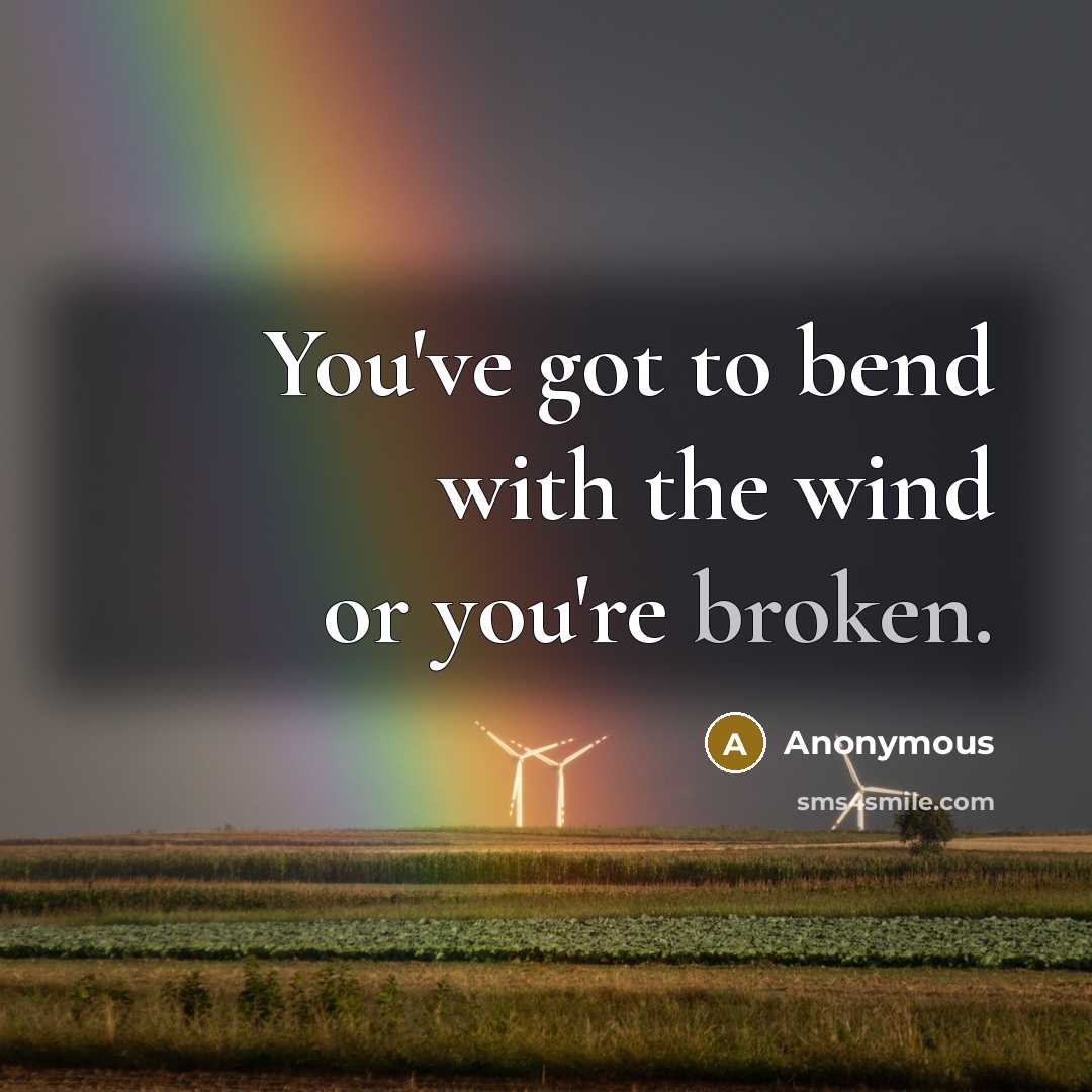 “You've got to bend with the wind or you're broken.” quote by Anonymous