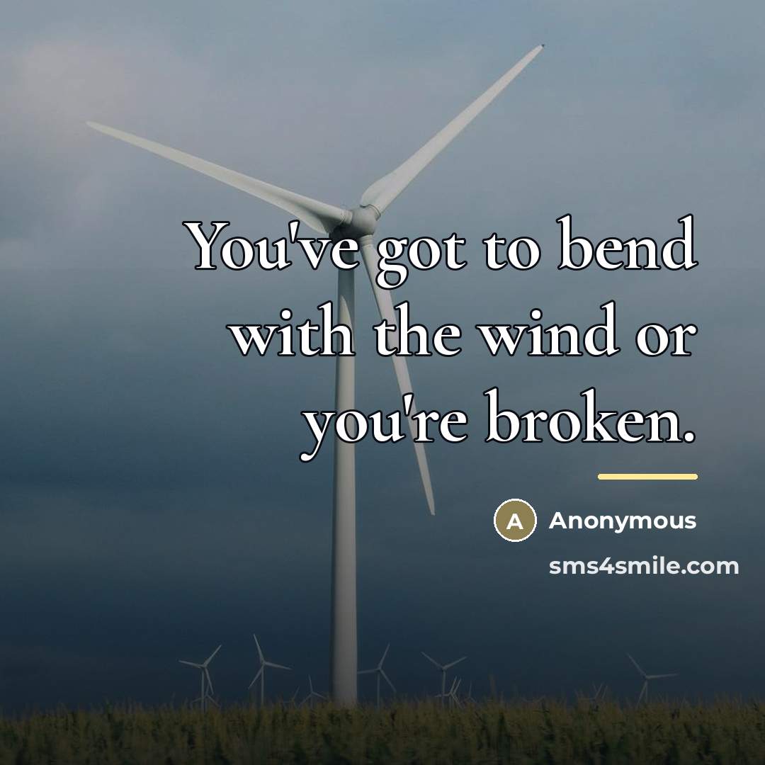 “You've got to bend with the wind or you're broken.…” quote by Anonymous