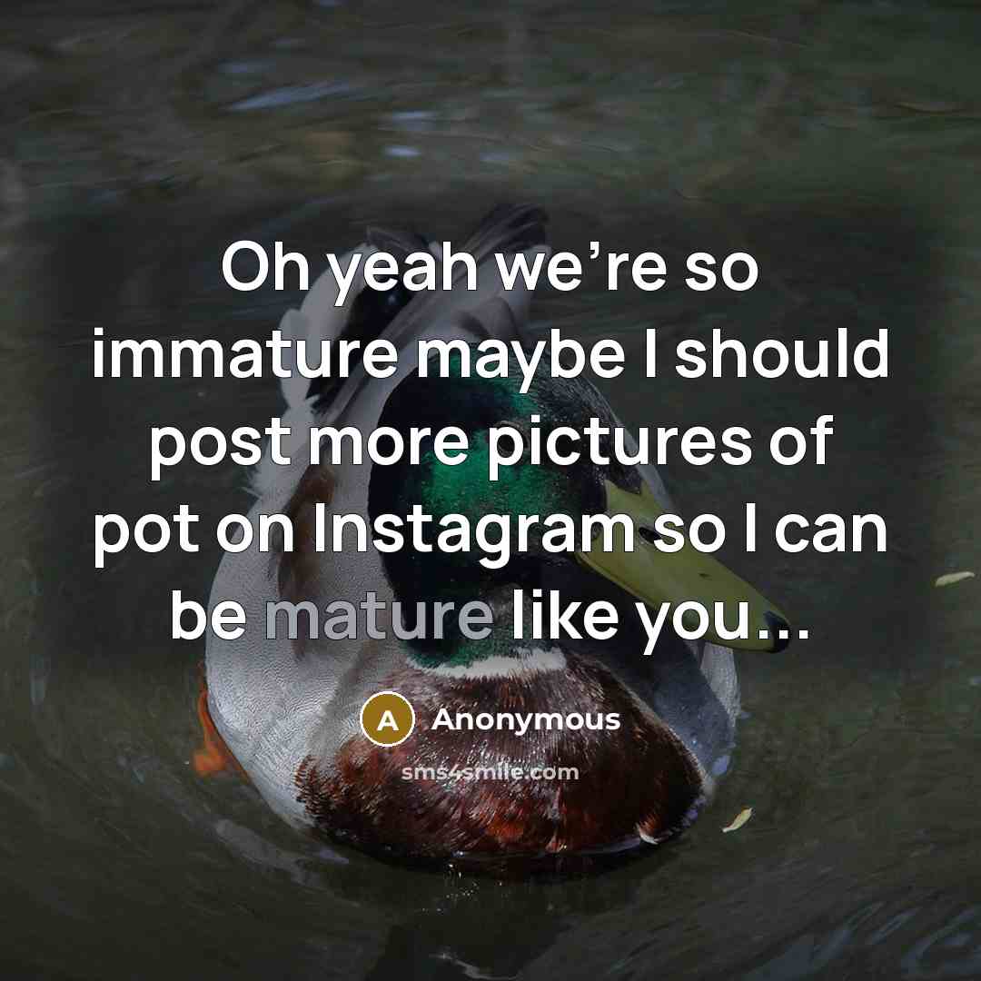 “Oh yeah we're so immature maybe I should post more pictures of pot on Instagram so I can be mature like you...” quote by Anonymous