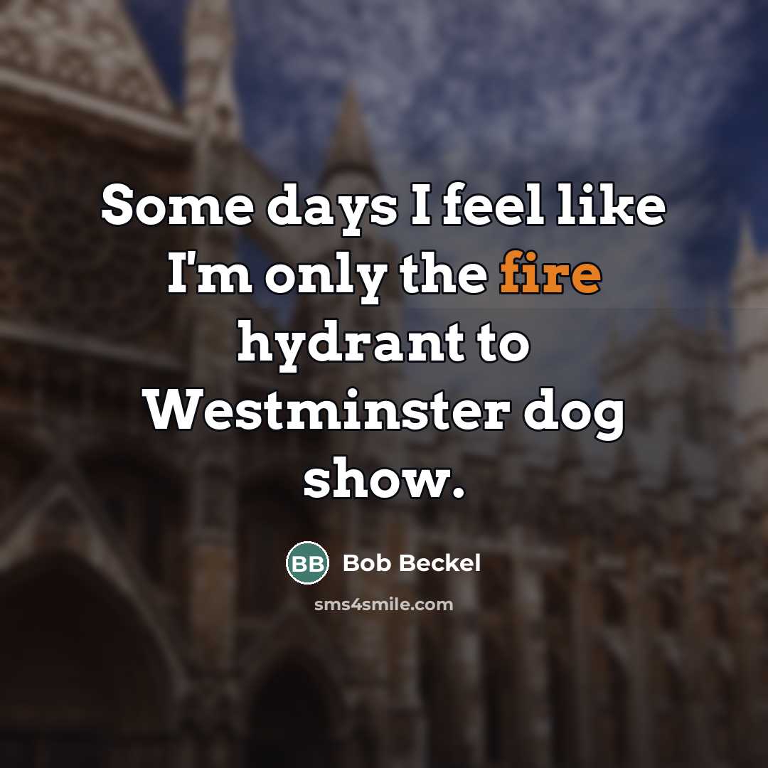 “Some days I feel like I'm only the fire hydrant…” quote by Bob Beckel