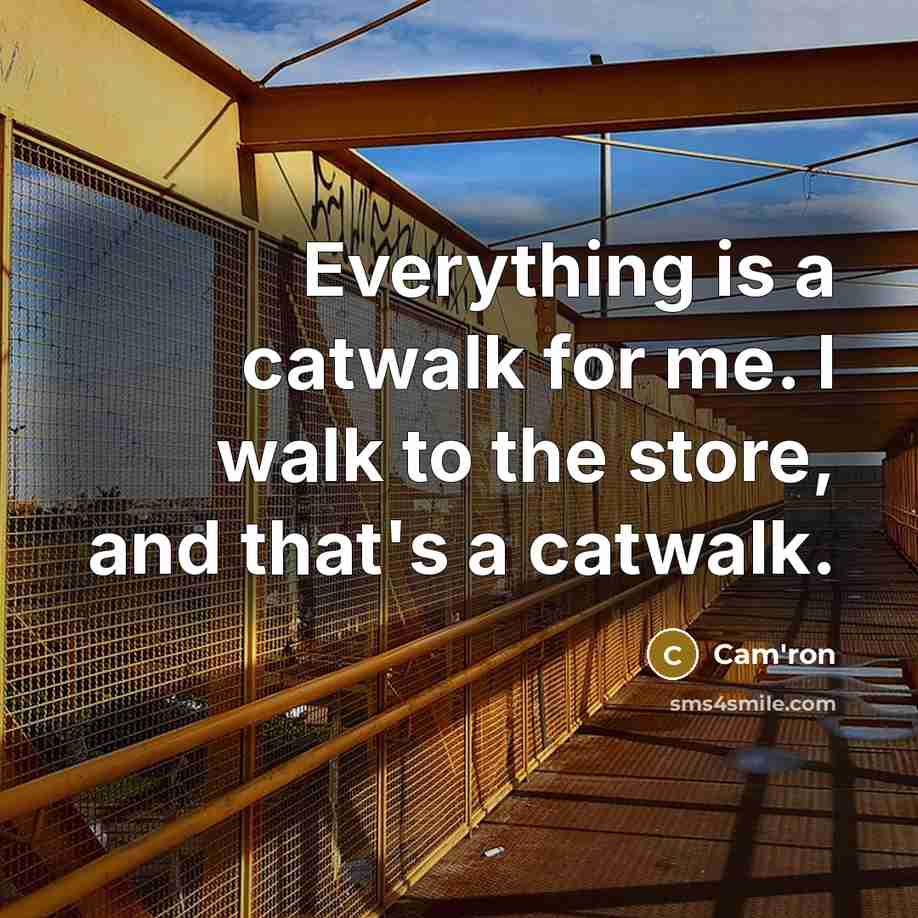 “Everything is a catwalk for me. I walk to the store, and that's a catwalk.” quote by Cam'ron