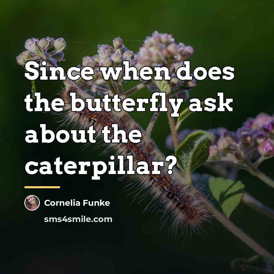 “Since when does the butterfly ask about the caterpillar?…” quote by Cornelia Funke