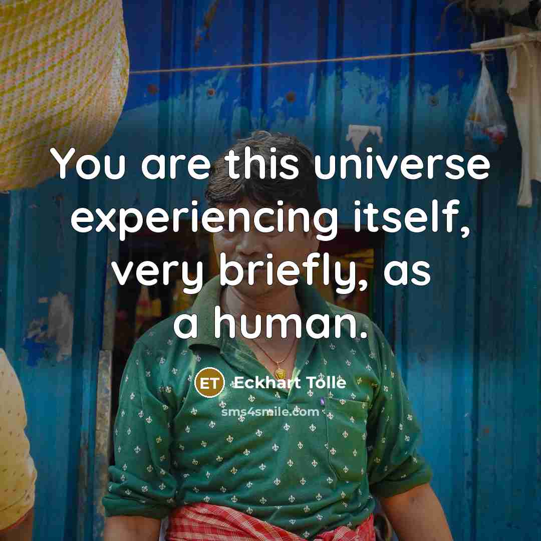 “You are this universe experiencing itself, very briefly, as a…” quote by Eckhart Tolle