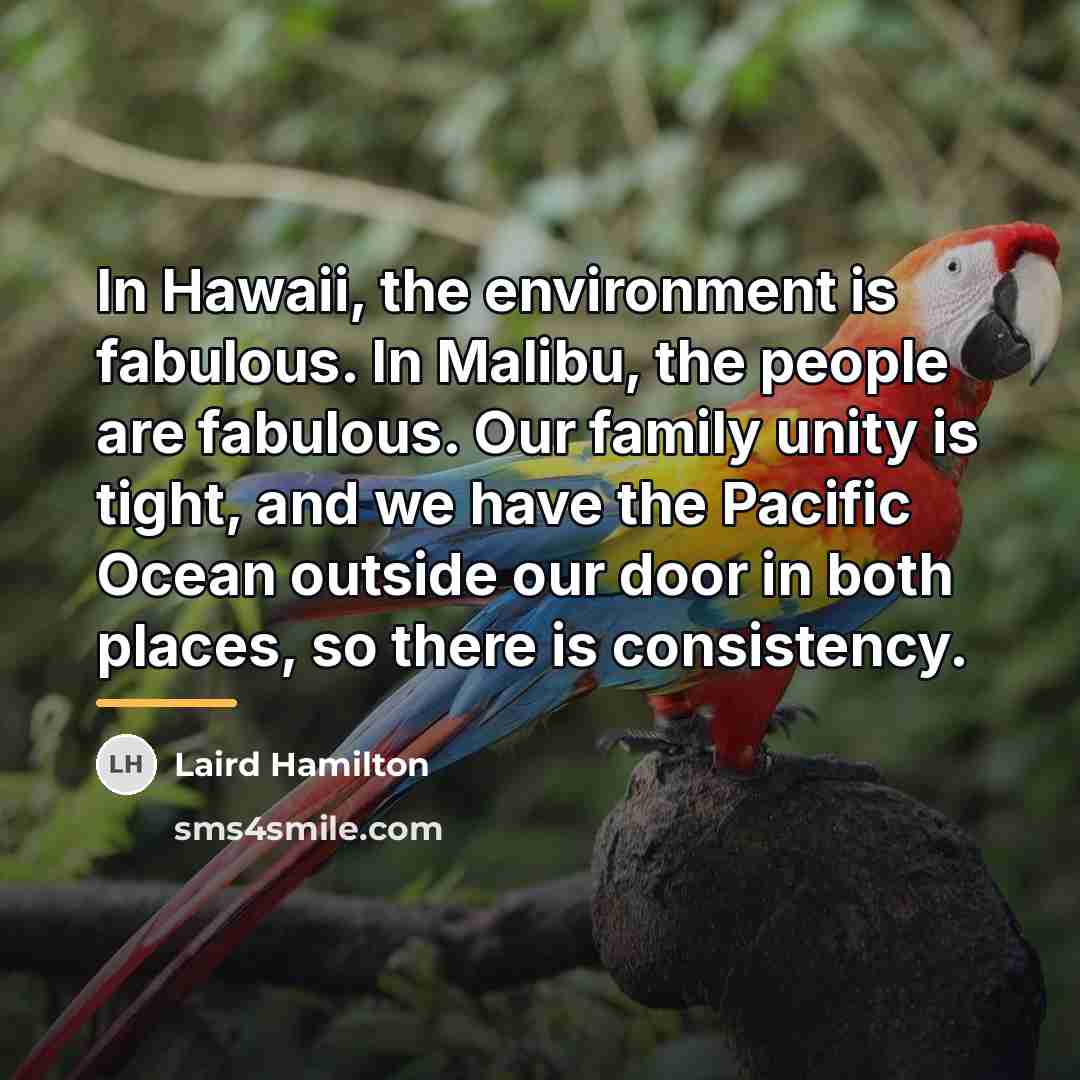 “In Hawaii, the environment is fabulous. In Malibu, the people…” quote by Laird Hamilton