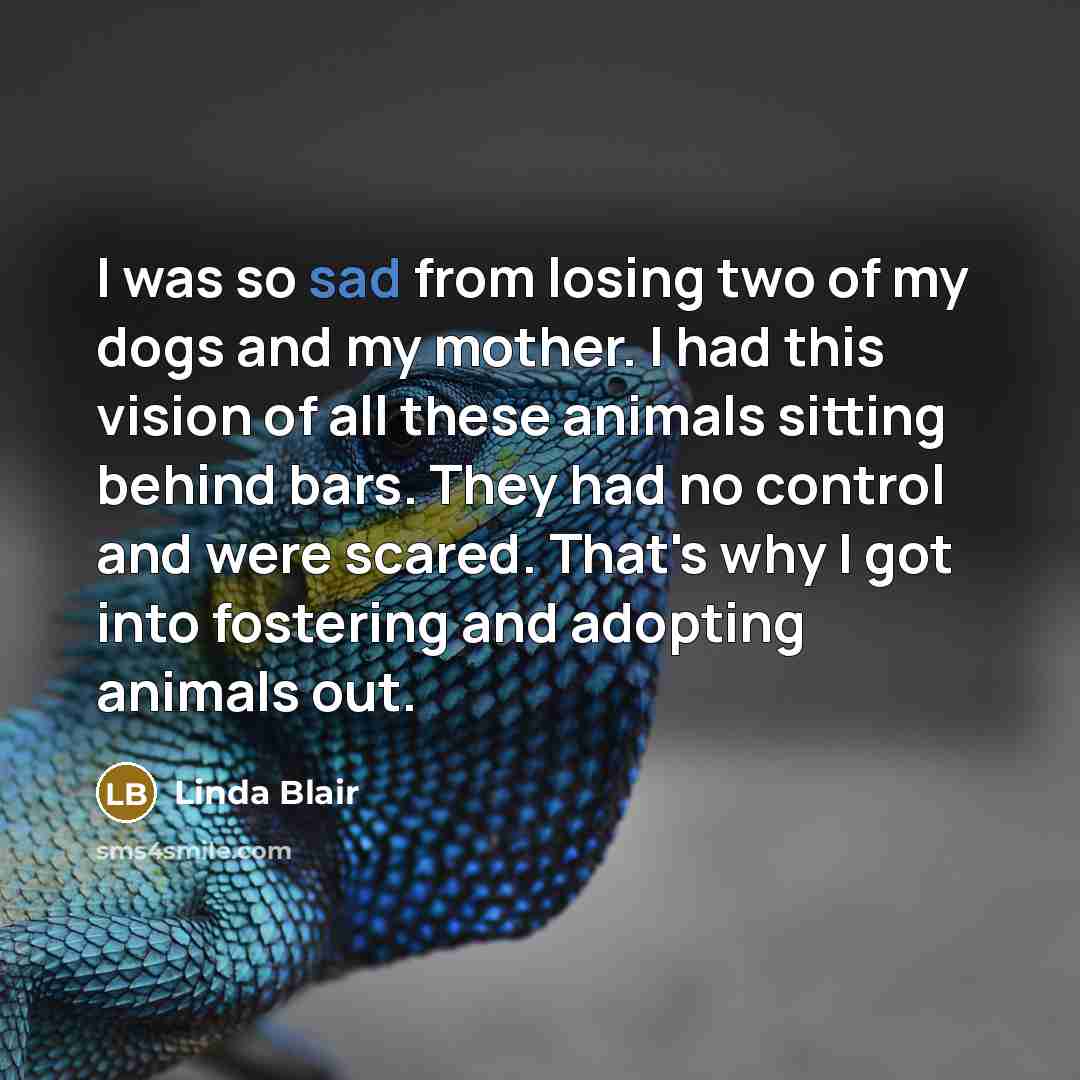 “I was so sad from losing two of my dogs…” quote by Linda Blair