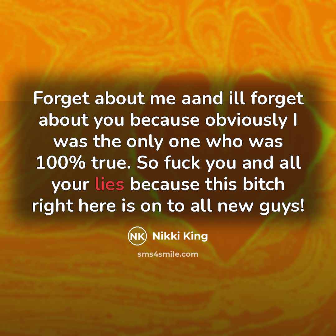 “Forget about me aand ill forget about you because obviously I was the only one who was 100% true. So fuck you and all your lies because this bitch right here is on to all new guys!” quote by Nikki King