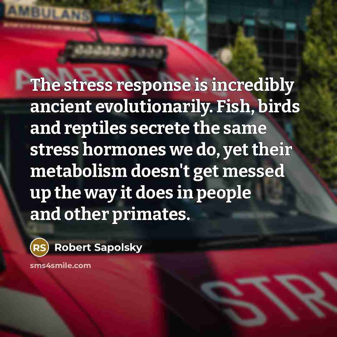 “The stress response is incredibly ancient evolutionarily. Fish, birds and…” quote by Robert Sapolsky