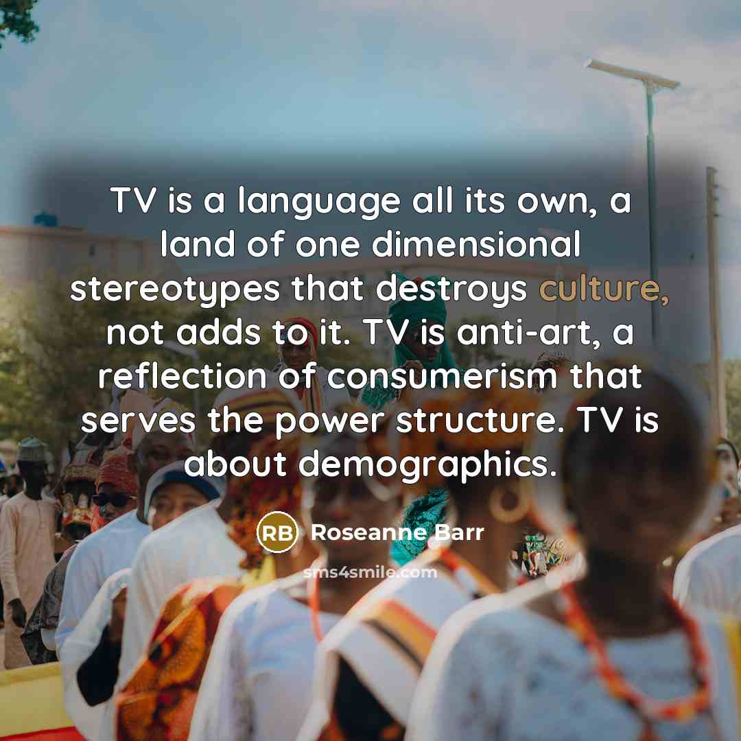 “TV is a language all its own, a land of…” quote by Roseanne Barr