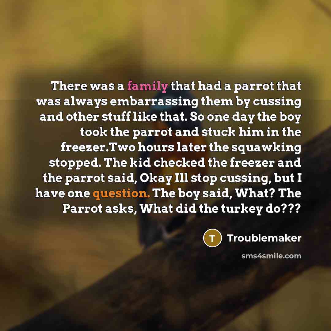 “There was a family that had a parrot that was always embarrassing them by cussing and other stuff like that. So one day the boy took the parrot and stuck him in the freezer.Two hours later the squawking stopped. The kid checked the freezer and the parrot said, Okay Ill stop cussing, but I have one…” quote by Troublemaker