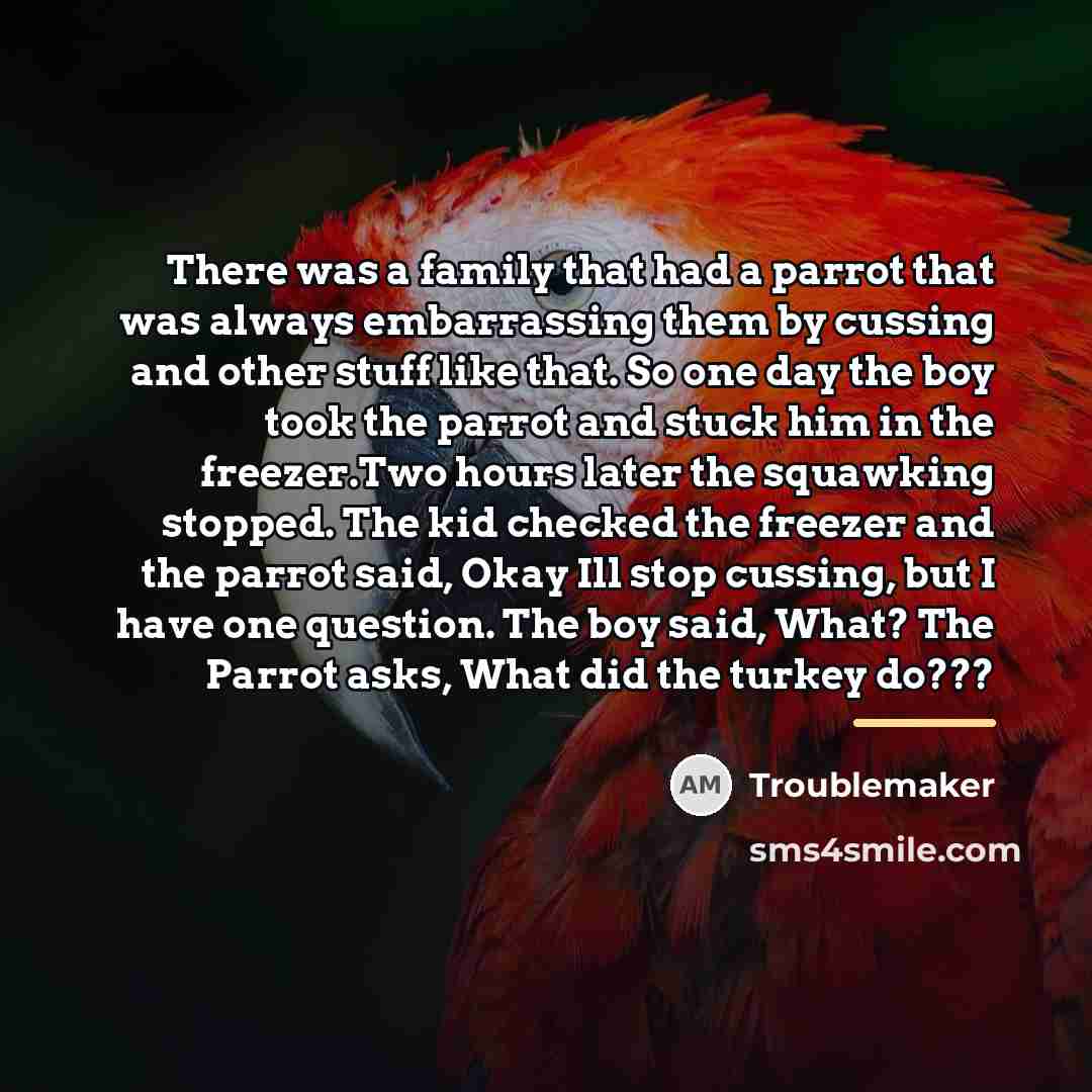 “There was a family that had a parrot that was…” quote by Troublemaker