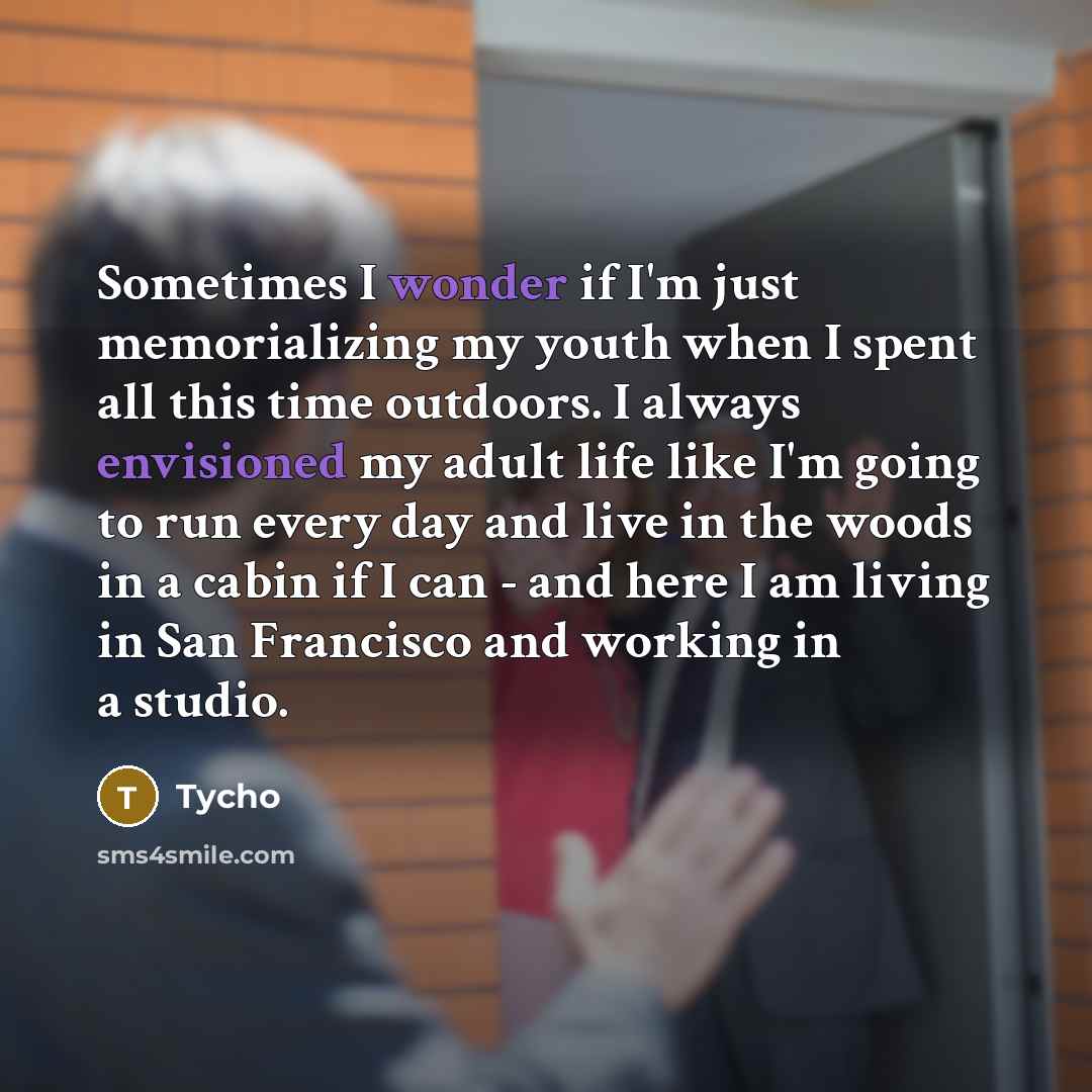 “Sometimes I wonder if I'm just memorializing my youth when…” quote by Tycho