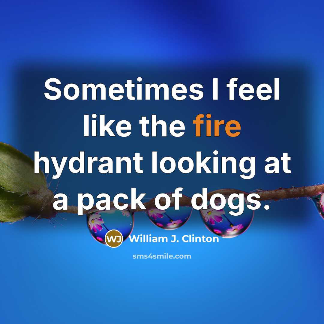 “Sometimes I feel like the fire hydrant looking at a…” quote by William J. Clinton