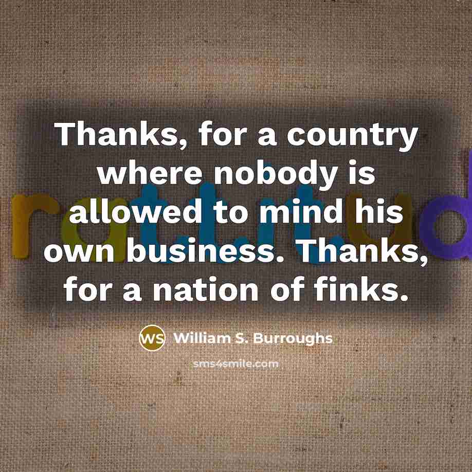 “Thanks, for a country where nobody is allowed to mind…” quote by William S. Burroughs
