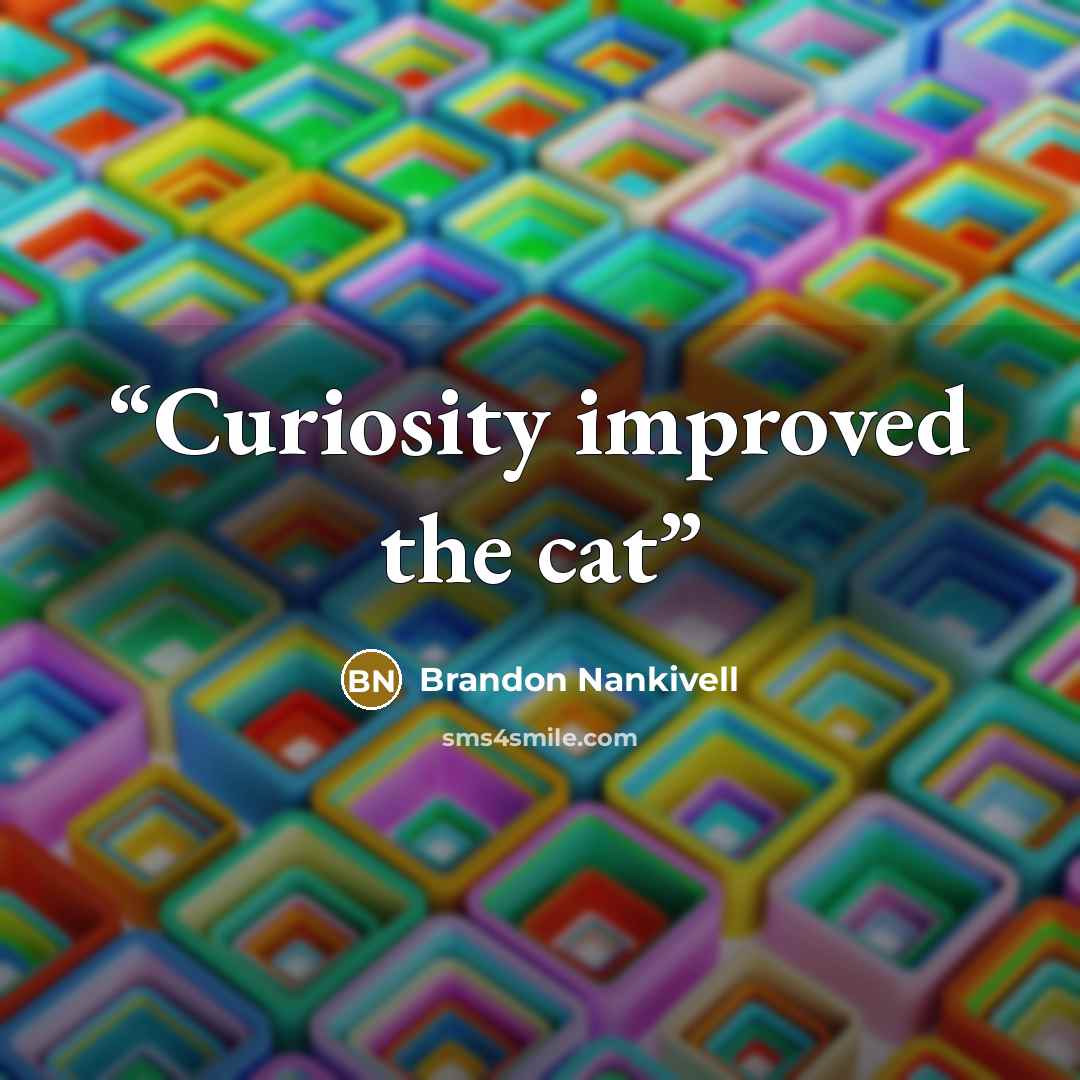 “Curiosity improved the cat” quote by Brandon Nankivell
