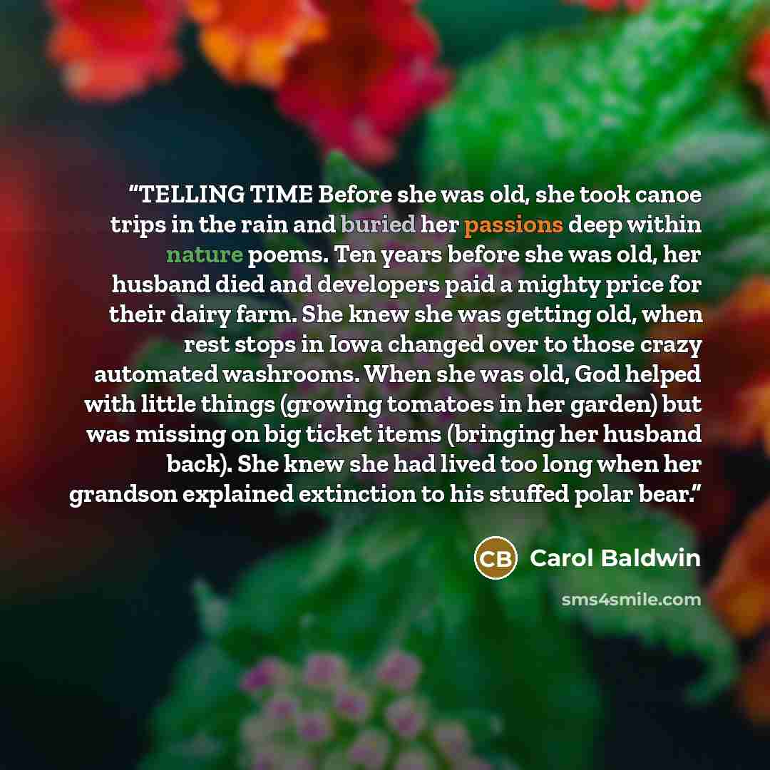 “TELLING TIME Before she was old, she took canoe trips in the rain and buried her passions deep within nature poems. Ten years before she was old, her husband died and developers paid a mighty price for their dairy farm. She knew she was getting old, when rest stops in Iowa changed over to those…” quote by Carol Baldwin