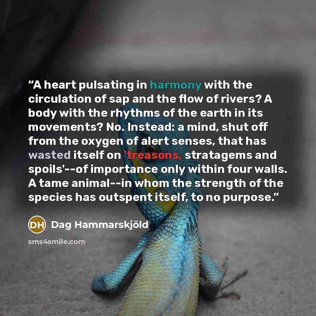 “A heart pulsating in harmony with the circulation of sap and the flow of rivers? A body with the rhythms of the earth in its movements? No. Instead: a mind, shut off from the oxygen of alert senses, that has wasted itself on 'treasons, stratagems and spoils'--of importance only within four walls…” quote by Dag Hammarskjöld