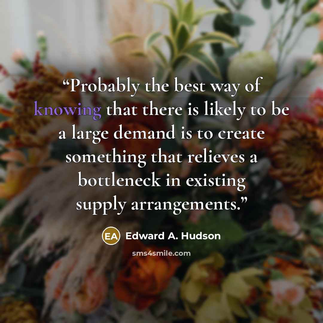 “Probably the best way of knowing that there is likely to be a large demand is to create something that relieves a bottleneck in existing supply arrangements.” quote by Edward A. Hudson