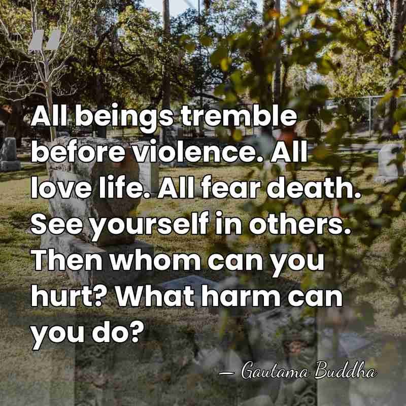 All beings tremble before violence. All love life. All fear death. See&hellip; - Gautama Buddha