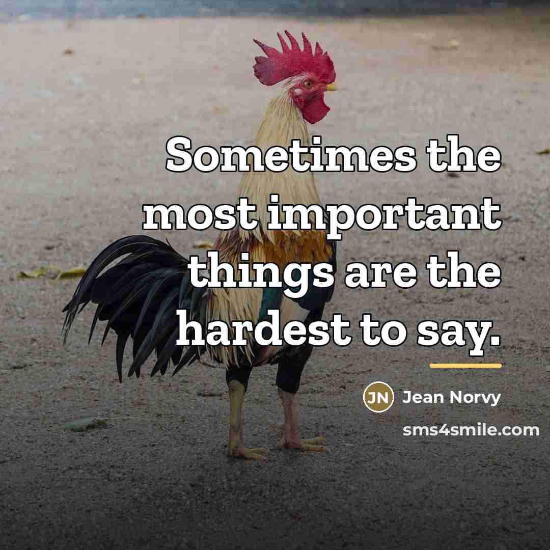 “Sometimes the most important things are the hardest to say.…” quote by Jean Norvy