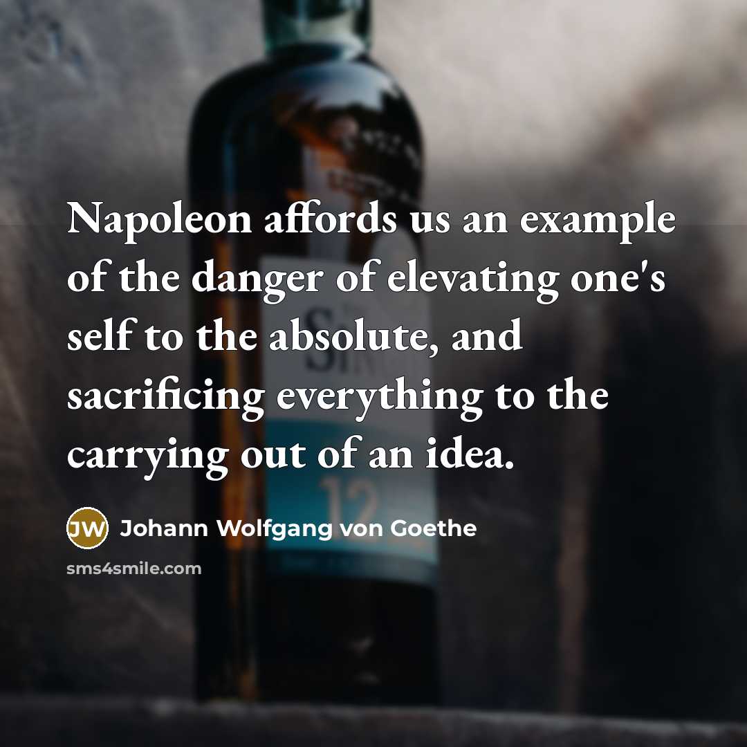“Napoleon affords us an example of the danger of elevating…” quote by Johann Wolfgang von Goethe